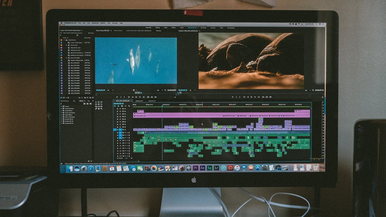 Adobe Premiere Pro vs After Effects: Which one should you use?