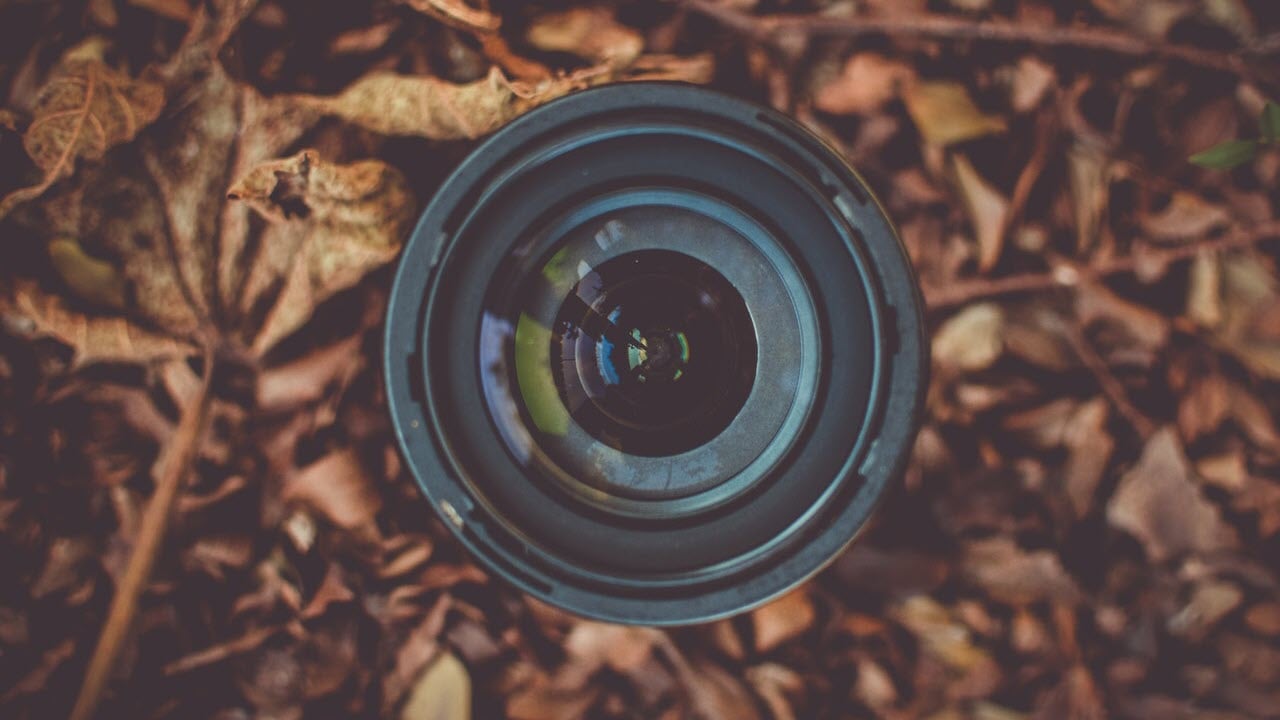 Camera framing and composition tips and tricks to make your photos better