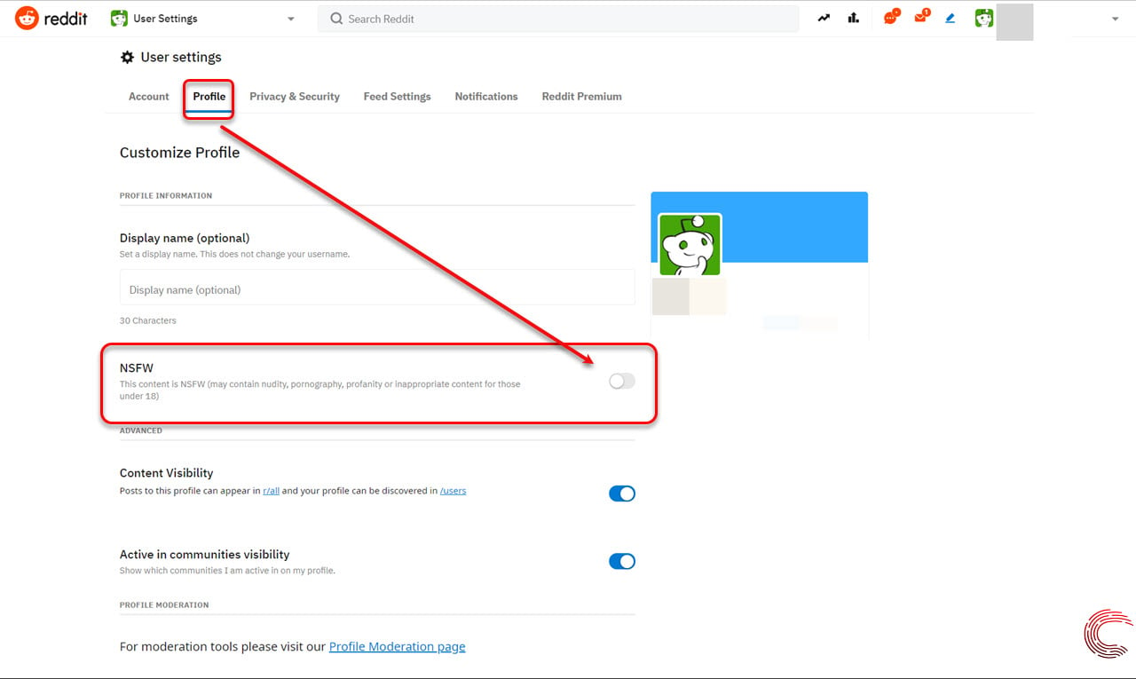How to view NSFW pages and posts on Reddit app and website?