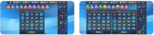 This is an image of bingo copy