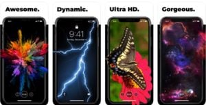 This is an image of live wallpapers for me16381
