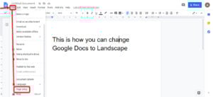 This is an image of google docs landscape ss1