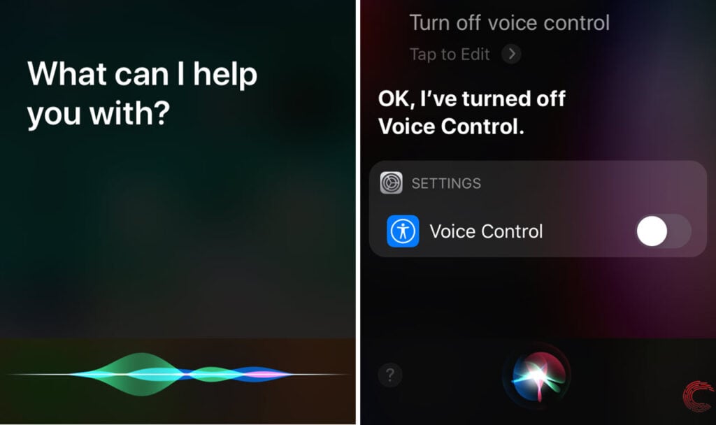 How to turn off voice control on your iPhone?