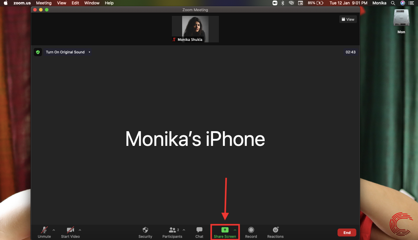 Zoom Screen Function What all can a Zoom host see when you screen share?