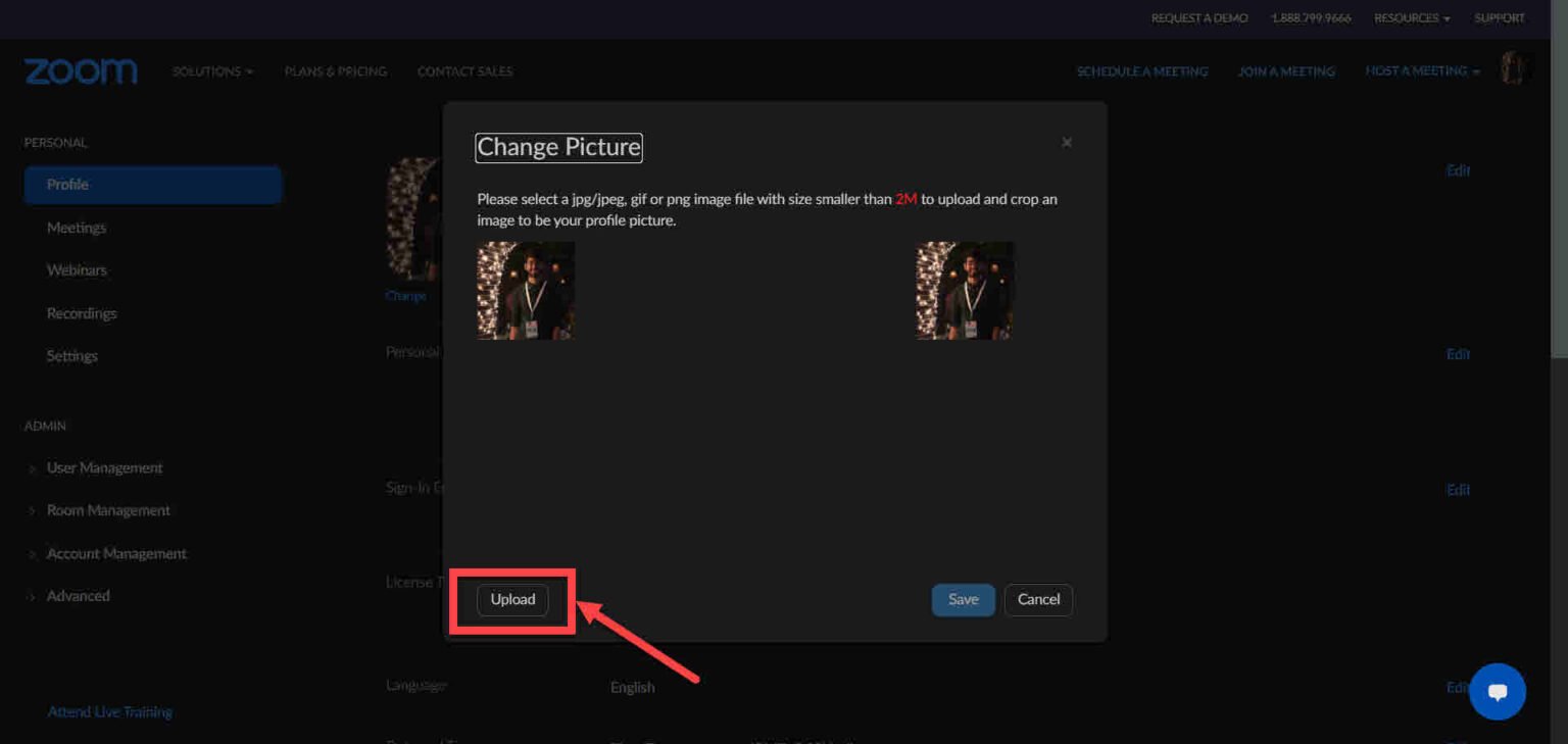 How to show a profile picture in Zoom instead of video?