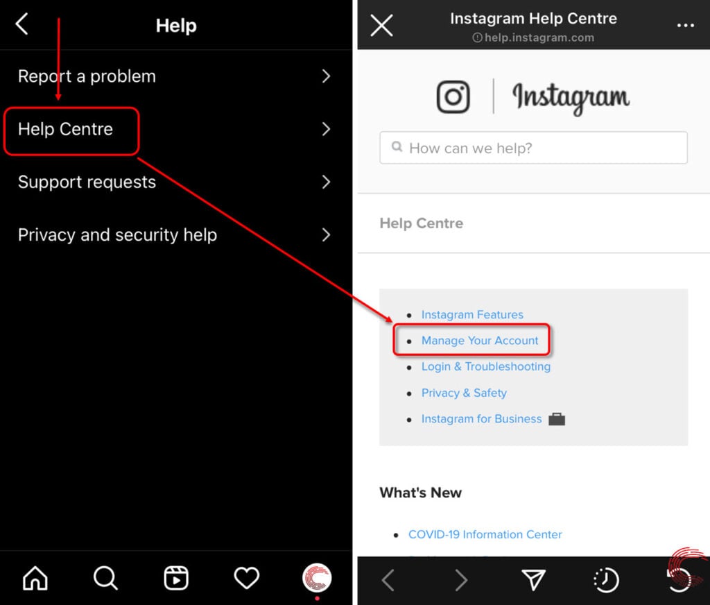 How to delete Instagram account on iPhone? 2 How to delete instagram account on iphone? | candid. Technology