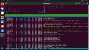 This is an image of linux task manager cli