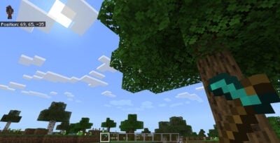 minecraft-leaves-2 1 This is an image of minecraft leaves 2 1