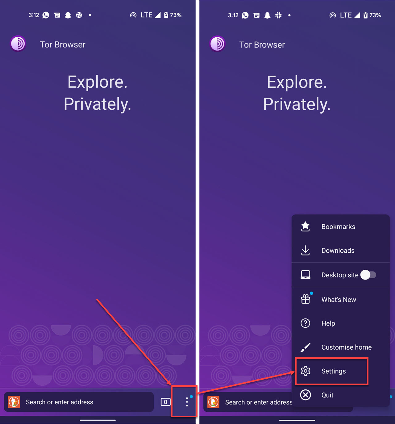 How to change the language in Tor browser?