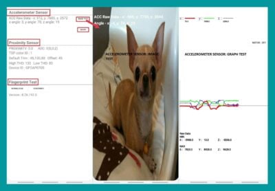 2-1 1 This is an image of 2 1