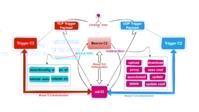 This is an image of xdr33 functioning