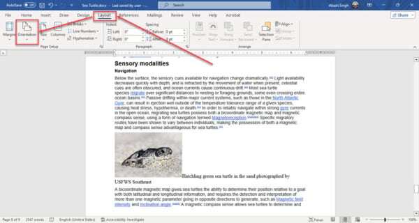 This is an image of change orientation on word ss1