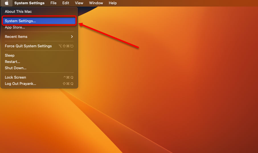 How to connect a mouse to the Mac? 1 This is an image of image 83
