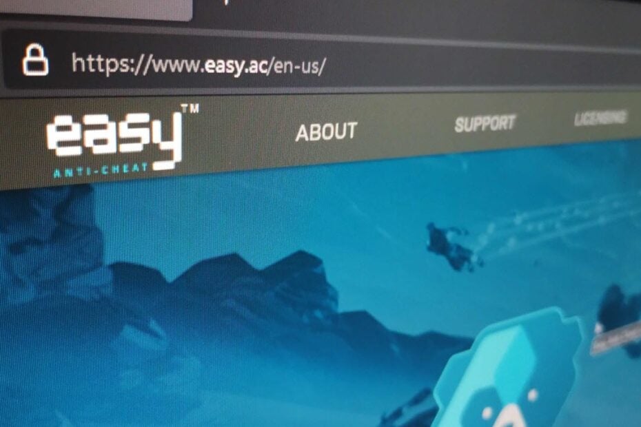 This is an image of easyanticheat ss1
