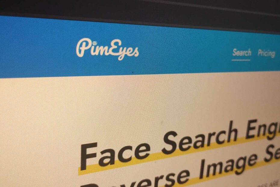 This is an image of pimeyes featured ss1