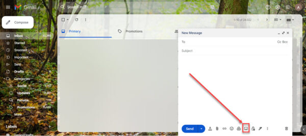This is an image of image symbol gmail ss