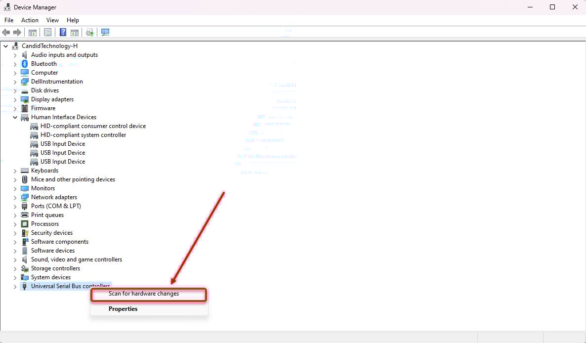 Why are the USB ports not working on Windows 11? Quick Fix