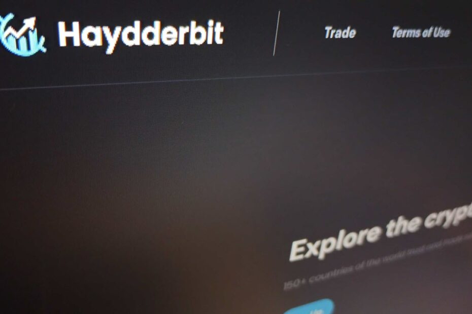 This is an image of haydderbit featured