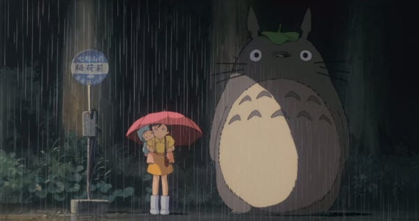 This is an image of my neighbour totoro ss