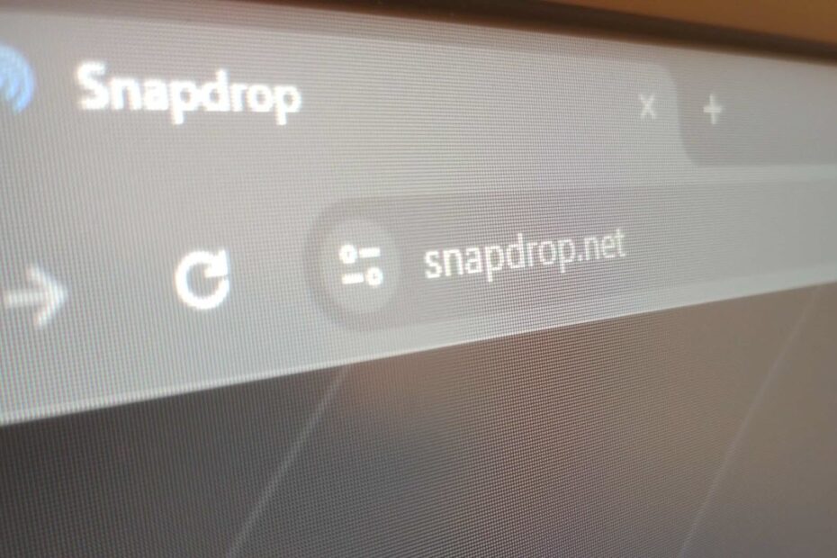 This is an image of snapdrop featured