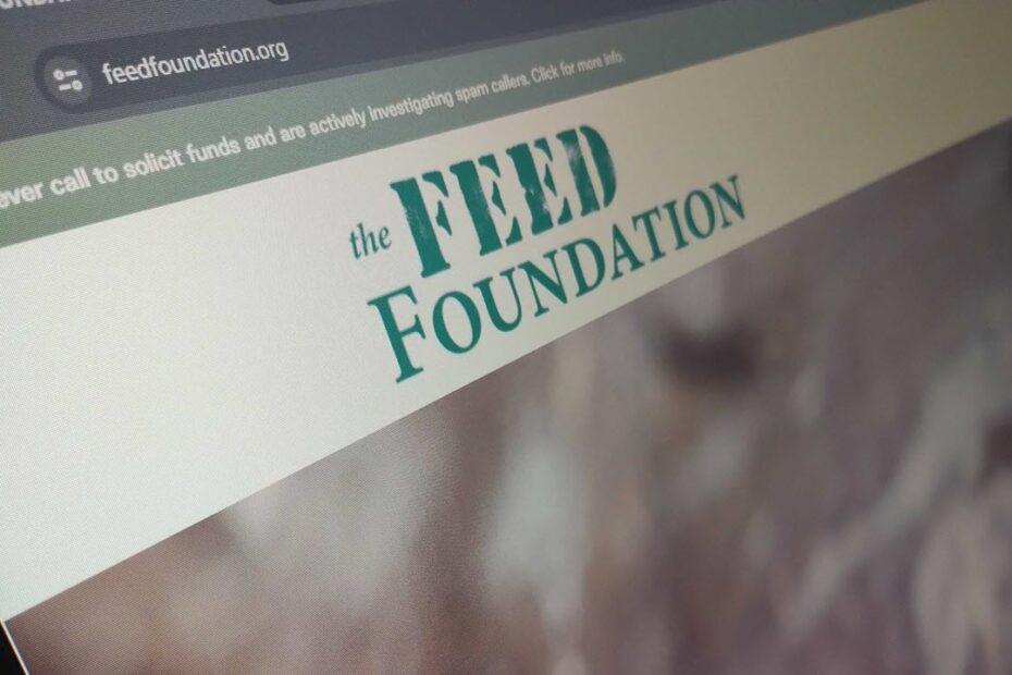 This is an image of feed foundation featured