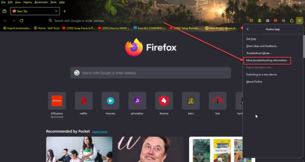 This is an image of reset firefox ss3