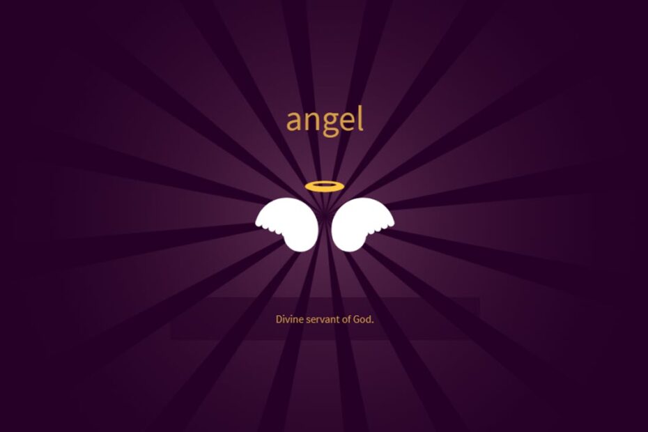 This is an image of angel featured la2 ss