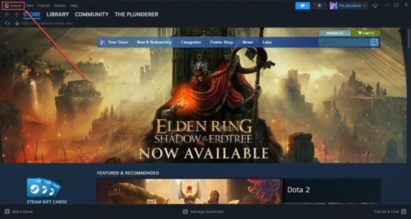 This is an image of enable steam overlay ss1