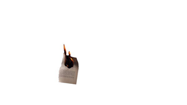 This is an image of burnt