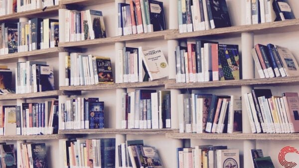 Books-ForAI-OpenSoure-dataset-ss1 1 This is an image of books forai opensoure dataset ss1