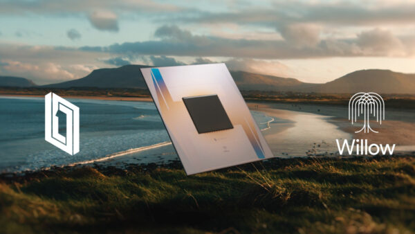 This is an image of willow chip taken from google