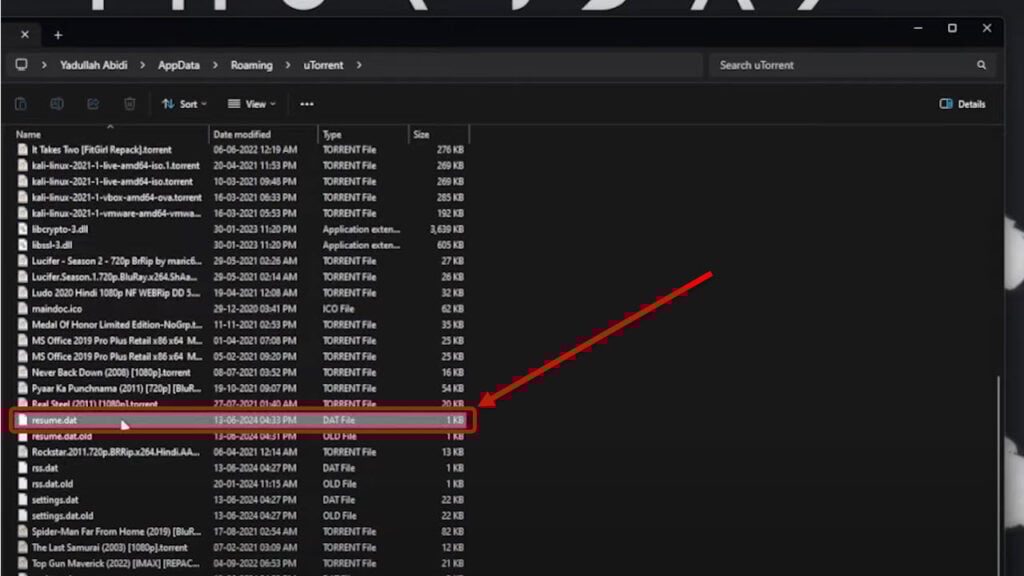 How to fix uTorrent connecting to peers problem? 17 This is an image of delete resume. Dat 3