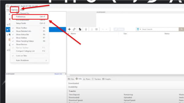 This is an image of enable bittorrent protocol encryption 1