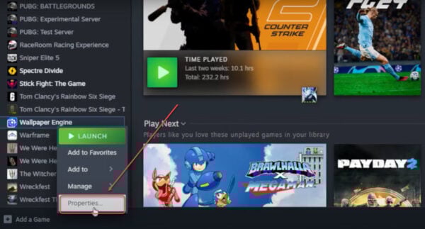 This is an image of steam library wallpaperengine ss2